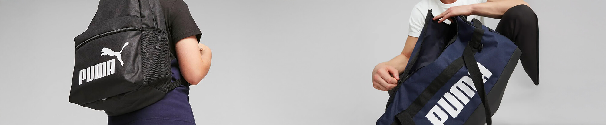 Meeste kotid Meeste kotid