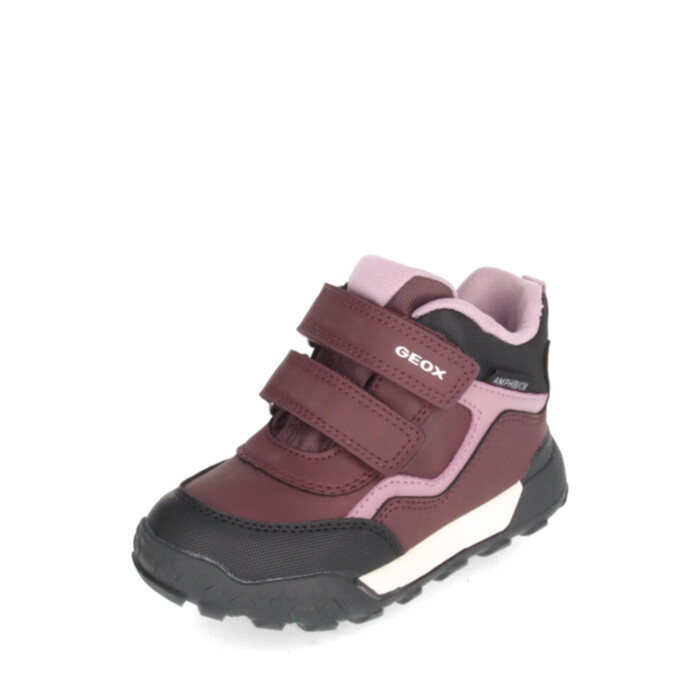 Geox Saapad