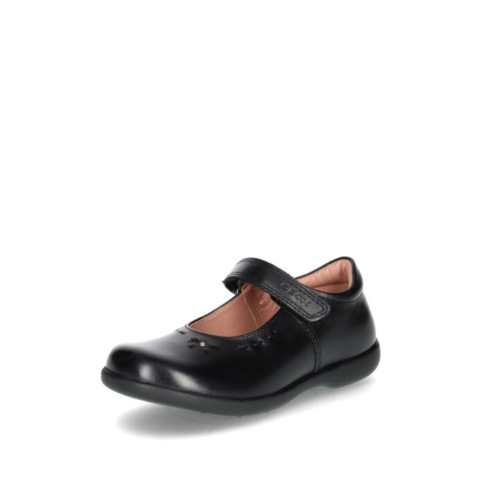 Geox Kingad