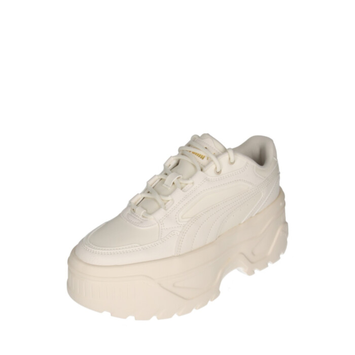 Puma tossud