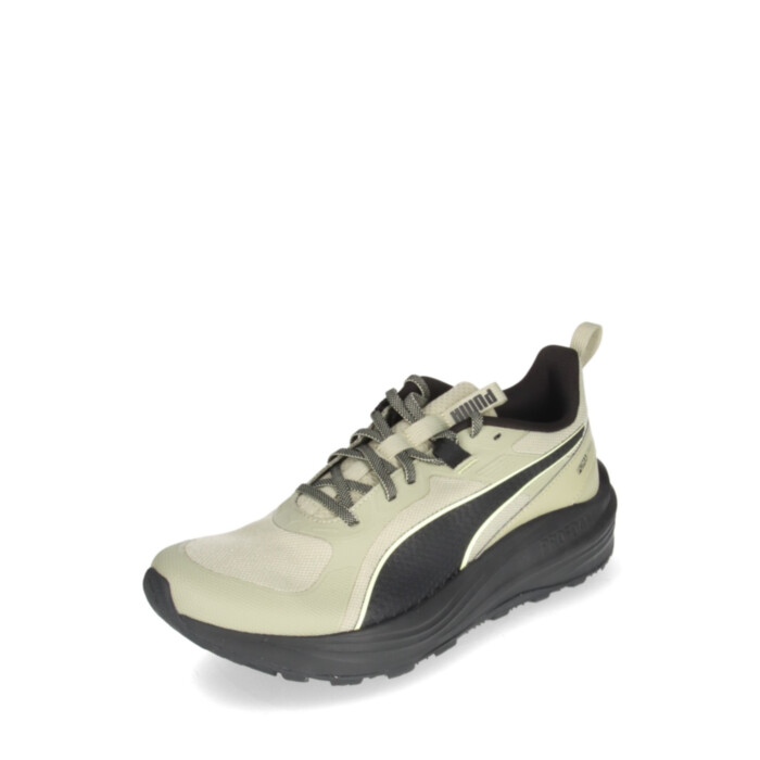 Puma tossud