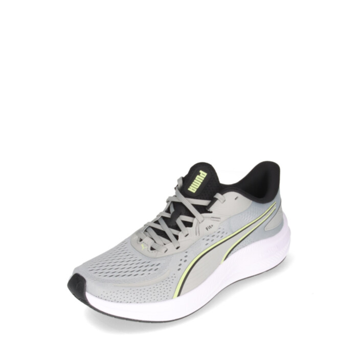 Puma tossud