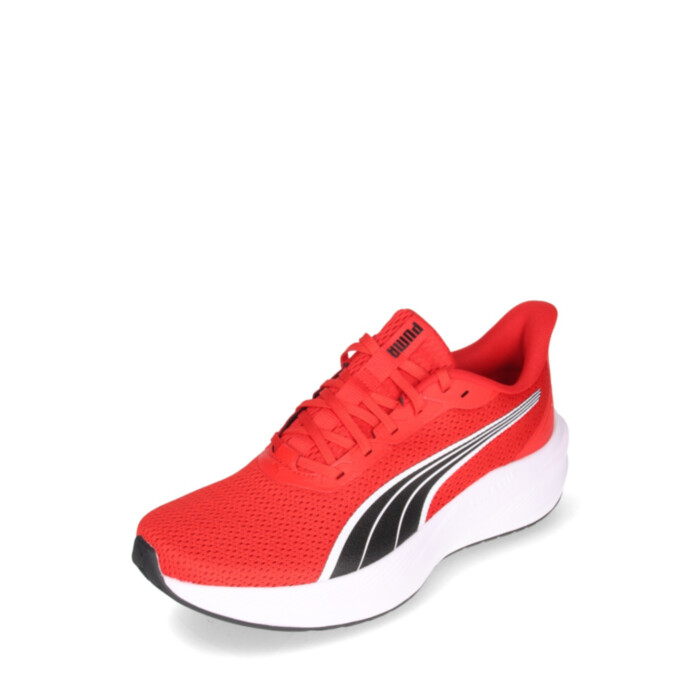Puma tossud