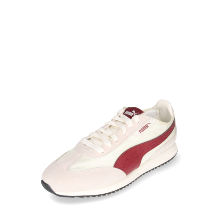 Puma tossud