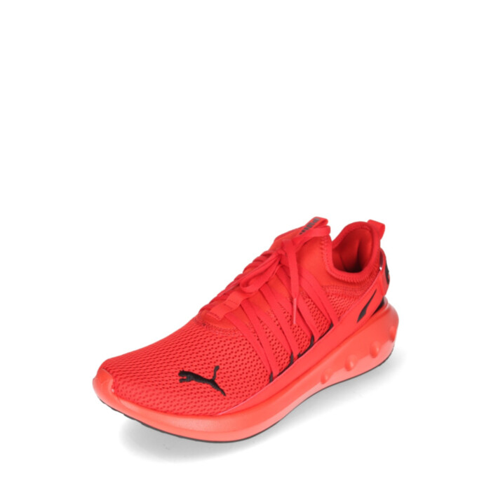 Puma tossud