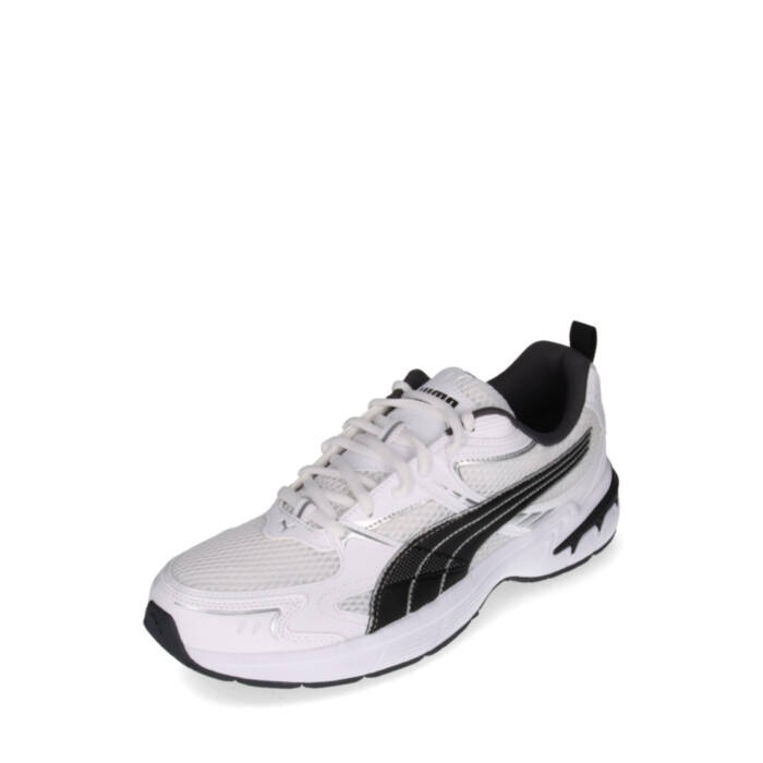 Puma tossud