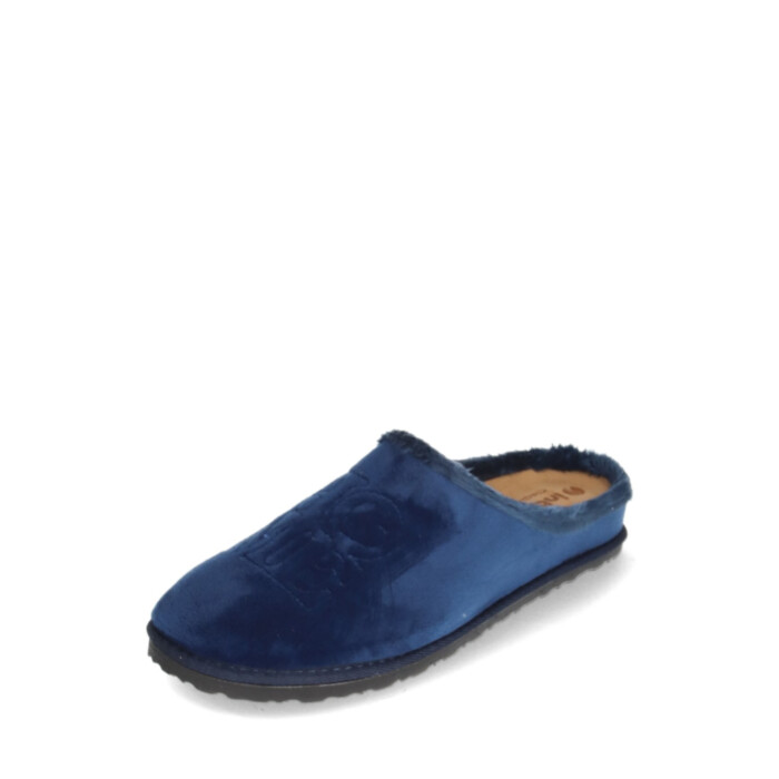 Inblu Toasussid