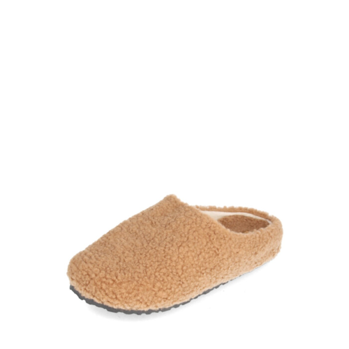 Toasussid