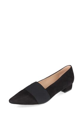 Peter Kaiser  Kingad