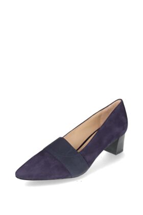 Peter Kaiser  Kingad