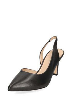 Peter Kaiser  Suvekingad