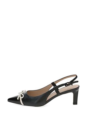 Peter Kaiser  Suvekingad