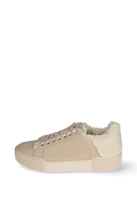 Högl Spordijalatsid