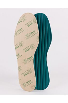 Collonil Sisetallad Aloe Vera (36) 9772