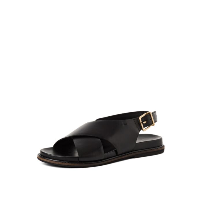 Marco Tozzi Suvekingad