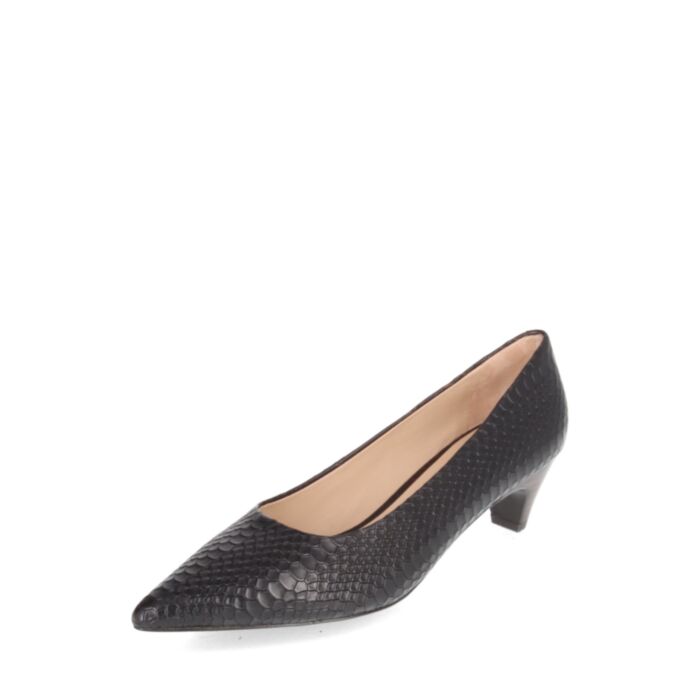 Peter Kaiser  Kingad