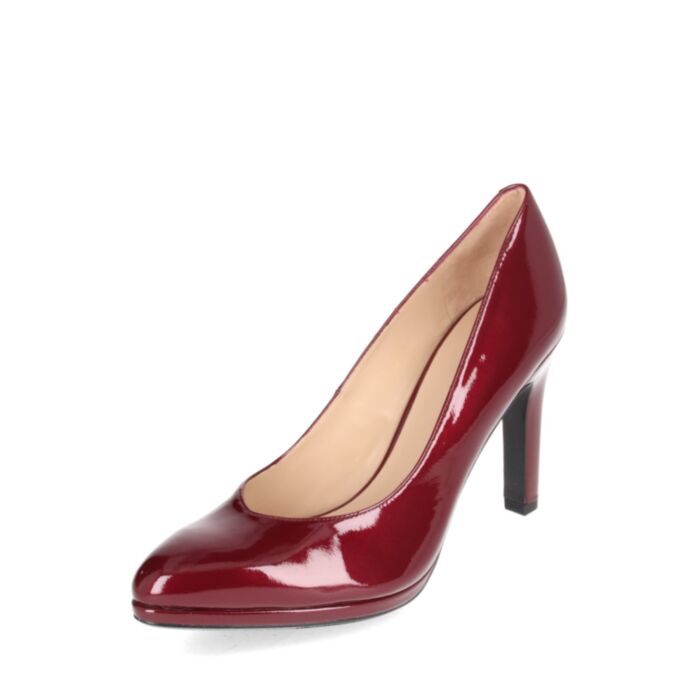 Peter Kaiser  Kingad