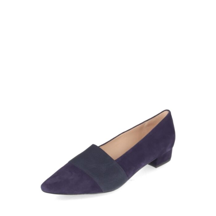 Peter Kaiser  Kingad