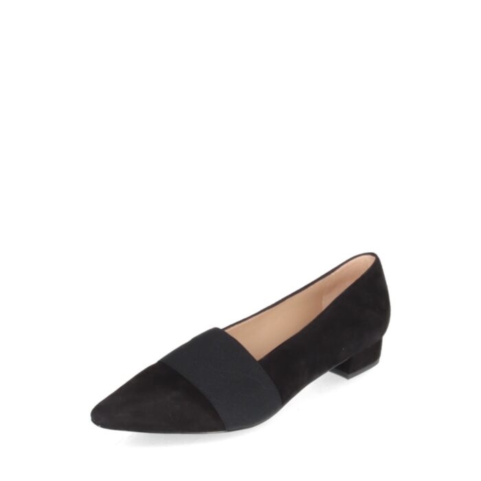 Peter Kaiser  Kingad