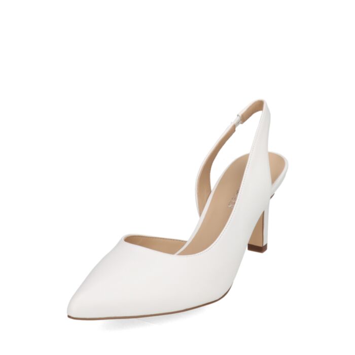 Peter Kaiser  Suvekingad