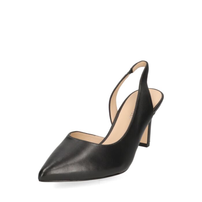 Peter Kaiser  Suvekingad